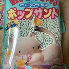 猫砂ゼリータイプ6/12.6/19現地販売