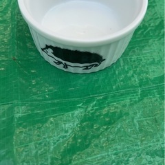 ハリネズミ食器➕水入れ
