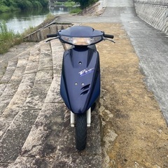 ディオの画像