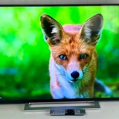 55M520X 液晶テレビ 55 型 4K チューナー内蔵 /YouTubeの画像