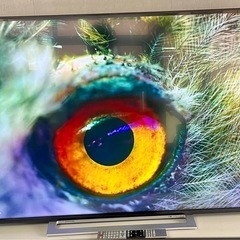 55M520X 液晶テレビ 55 型 4K チューナー内蔵 /YouTubeの画像