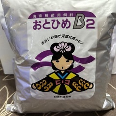 🐠メダカや熱帯魚の餌 おとひめB2 100g400円 沈下性・顆...
