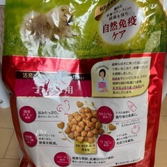 子犬用 フード お試し用 の画像