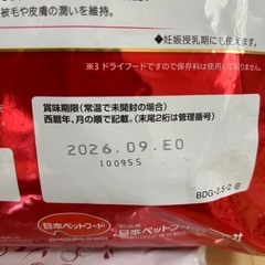 子犬用 フード お試し用 の画像