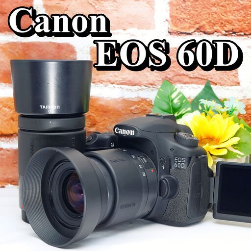 Canon キャノン EOS 60D 標準レンズセット 即撮影可 EOS キヤノン