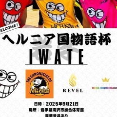 男女混合バレーボール大会の助っ人募集