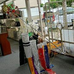 0612-047 こいのぼり（スタントなし）