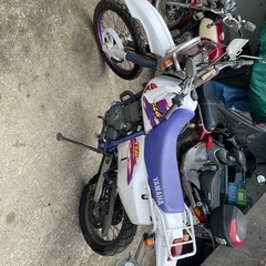 ヤマハバイクTT250ccレイド
