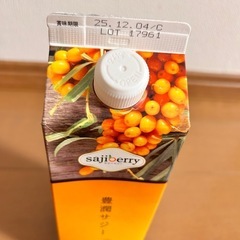 フィネス 豊潤サジーの画像