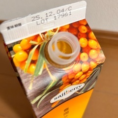 フィネス 豊潤サジーの画像