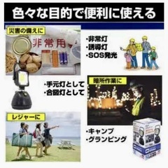 直接引き取り5%OFFインボイス登録店 ELPA 防水ポータブルライト LEDライト 携帯型 乾電池式 防災 停電 軽量 未使用 保管品 703182の画像