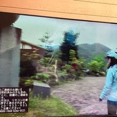 商談中　オリオン製　テレビ55型