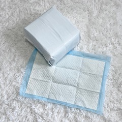 未開封 新品 ペットシーツ 薄手　レギュラーサイズ 1袋 100...