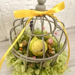 鳥籠の中の鳥さん♡の画像