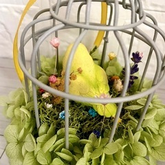 鳥籠の中の鳥さん♡の画像
