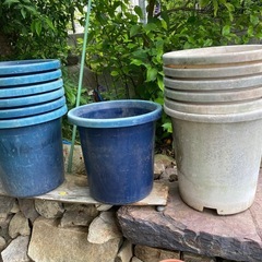 プラスチック整植木鉢の画像