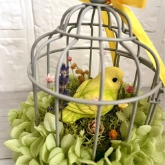 鳥籠の中の鳥さん♡の画像