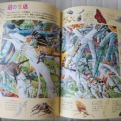 探し絵本（さがせシリーズ）の画像