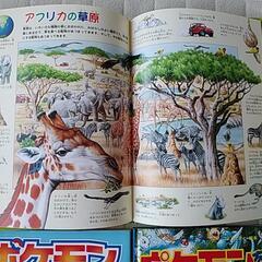 探し絵本（さがせシリーズ）の画像