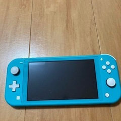 ニンテンドースイッチライト　Switchケース付き