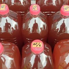 6/21(土)〜23(月)限定でお渡し可能！超濃厚PSB 光合成細菌 活バクテリア500mL〜　熱帯魚.メダカ.金魚.家庭菜園や観葉植物へ！の画像