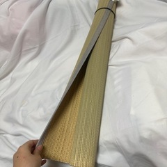 イグサネゴザ
