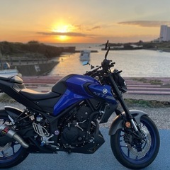 【カスタム車】YAMAHA MT-25
