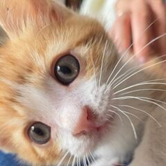 生後２か月くらいの男の子