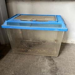 虫かご　