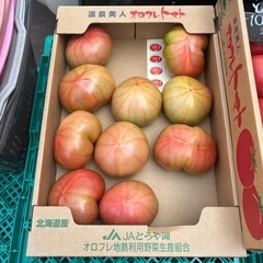 洞爺湖🍅オロフレトマト3Lサイズ
