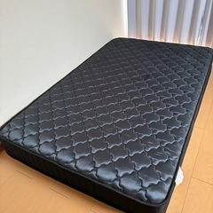 セミダブルベット