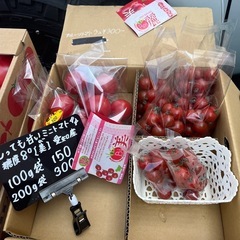 糖度8°🍅美のトマト・ミニトマト