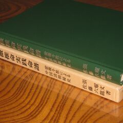 紫薇推命実践命譜　佐藤六龍①の画像