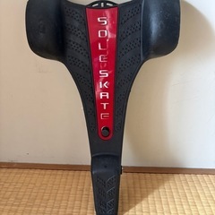 SOLE SKATE