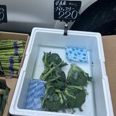 伊達産🥦ブロッコリー