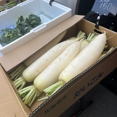 北海道産2L大根