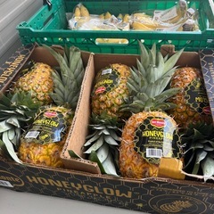 大好評♡一推しパイン入荷しました✨