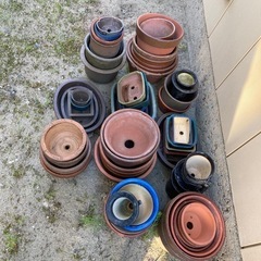 植木鉢１つ３０円の画像