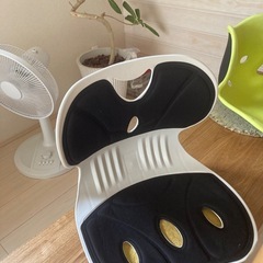 姿勢矯正イス