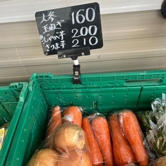 真狩産🥕