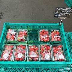 北海道産極甘🍓けんたろう¥480〜