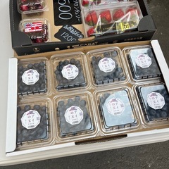 茨城県産🫐ブルーベリー