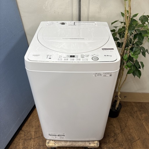 I440 ? 大決算セール特別価格！ 2023年製の美品♪ SHARP 洗濯機 （5.5㎏） ⭐ 動作確認済 ⭐ クリーニング済