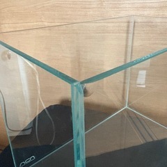 ADA 水槽セット
の画像