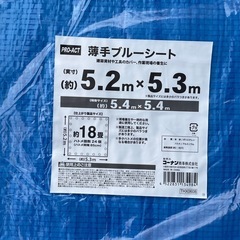 ブルーシート　７点セット　コーナンの画像