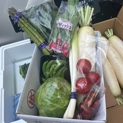 【ご注文SET分】新鮮なお野菜ご注文SET☆