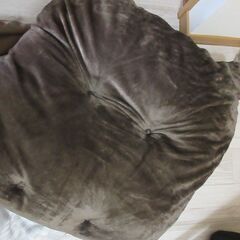 【アテーナ・ごろ寝クッション（カバー付き）】長岡市に取りに来られる方の画像
