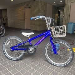 子供用自転車　20インチ　ルイガノ　　LGS-J20 ギアなし、...
