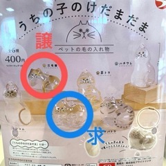 うちの子のけだまだま ガチャガチャ