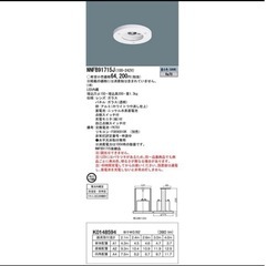 LED非常灯 昼白色 NNFB91715J 非常用照明器具 パナソニックの画像